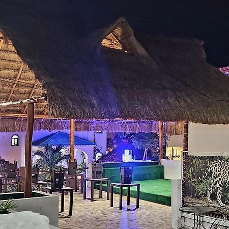 Hotel D Margo Playa del Carmen Zewnętrze zdjęcie