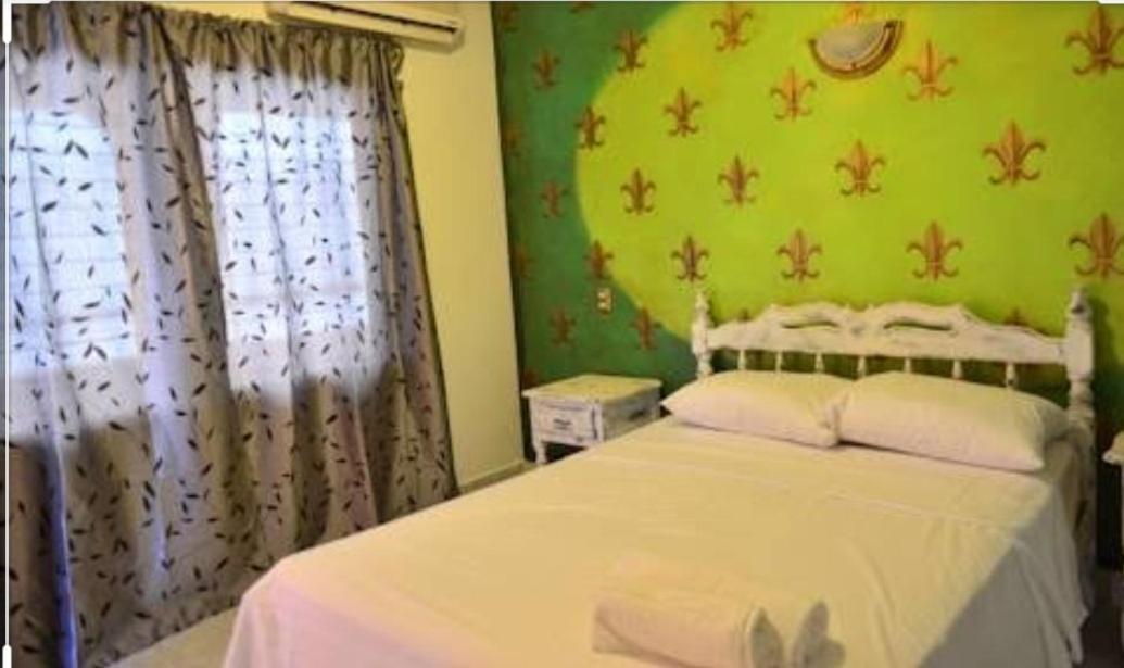 Hotel D Margo Playa del Carmen Zewnętrze zdjęcie