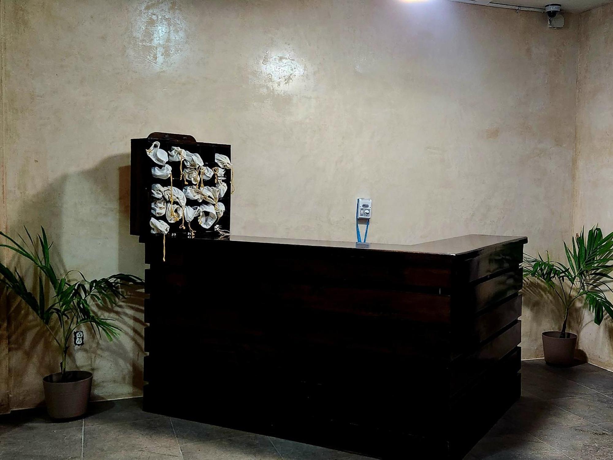 Hotel D Margo Playa del Carmen Zewnętrze zdjęcie