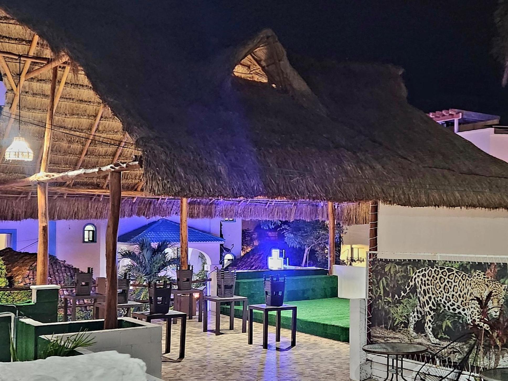 Hotel D Margo Playa del Carmen Zewnętrze zdjęcie